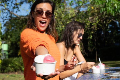 Full Day Daintree Rainforest And Mossman Gorge Tour - Australian Directory 3