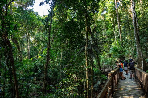 Full Day Daintree Rainforest And Mossman Gorge Tour - Australian Directory 5
