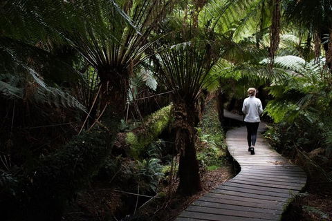 Private Tour Of Melbourne - Australian Directory 2