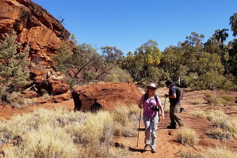 Palm Valley And Hermannsburg 1 Day 4WD Tour - Australian Directory 1