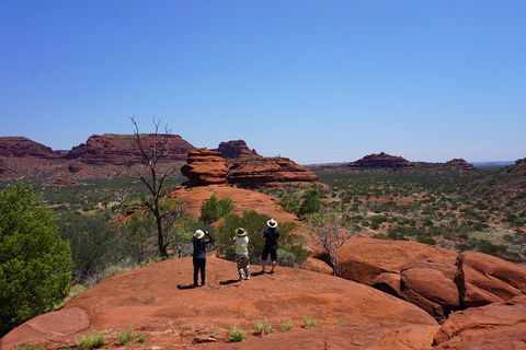 Palm Valley And Hermannsburg 1 Day 4WD Tour - Australian Directory 2