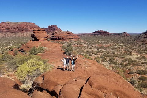 Palm Valley And Hermannsburg 1 Day 4WD Tour - Australian Directory 3