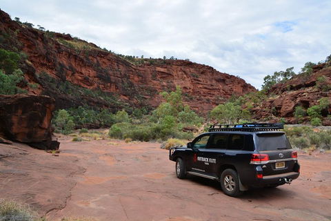 Palm Valley And Hermannsburg 1 Day 4WD Tour - Australian Directory 5