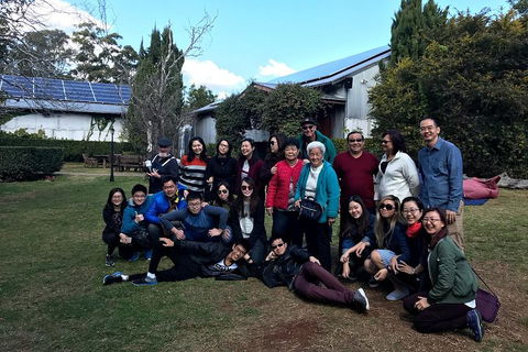 Full Day Mount Tamborine Winery Tour From Brisbane - Australian Directory 2