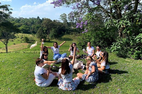 Full Day Mount Tamborine Winery Tour From Brisbane - Australian Directory 4