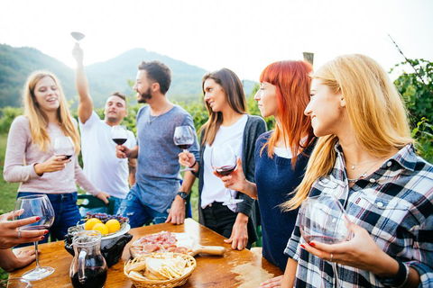 Full Day Mount Tamborine Winery Tour From Brisbane - Australian Directory 5