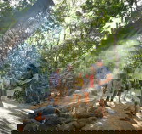 Mossman Gorge Adventure Day - Australian Directory