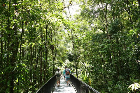 Daintree Dreaming Traditional Aboriginal Fishing From Cairns Or Port Douglas - Australian Directory 3
