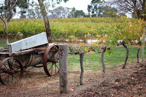 Maggie Beer Farm - Barossa Valley Regional Tour - Australian Directory 1