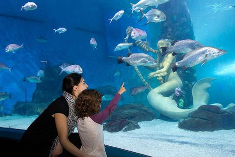 SEA LIFE Melbourne Aquarium Admission Ticket - Australian Directory 4