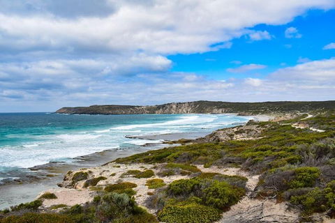 Kangaroo Island Luxury Small Group 'East End Explorer' Full Day Tour - Australian Directory 0