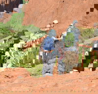 Afternoon Kata Tjuta Small Group Tour - Australian Directory
