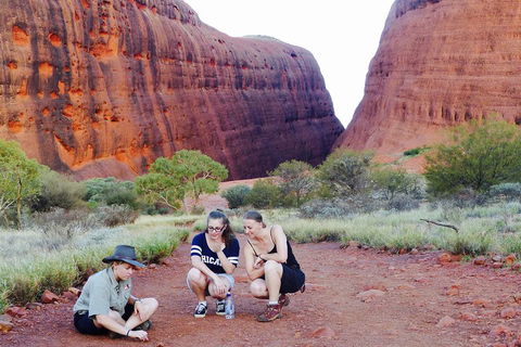 Afternoon Kata Tjuta Small Group Tour - Australian Directory 2