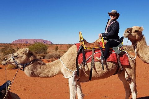 Uluru Small-Group Tour By Camel At Sunrise Or Sunset - Australian Directory 0
