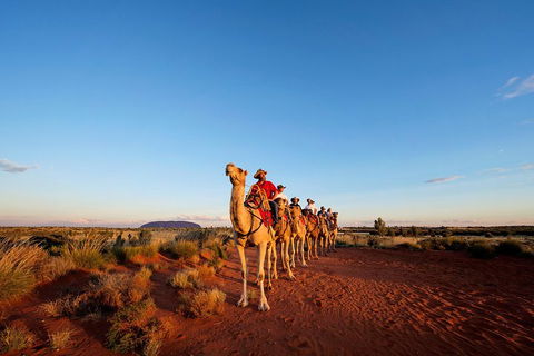 Uluru Small-Group Tour By Camel At Sunrise Or Sunset - Australian Directory 3