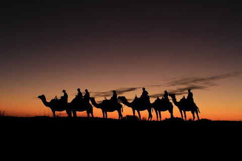 Uluru Small-Group Tour By Camel At Sunrise Or Sunset - Australian Directory 4