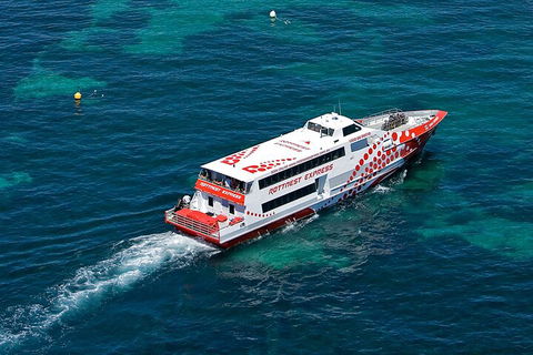 Discover Rottnest With Ferry & Bus Tour From Perth Or Fremantle - Australian Directory 3