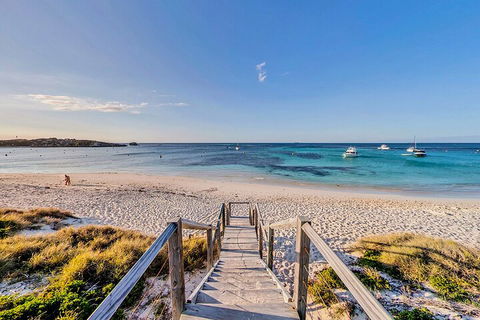 Discover Rottnest With Ferry & Bus Tour From Perth Or Fremantle - Australian Directory 4