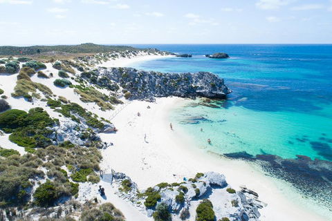 Discover Rottnest With Ferry & Bus Tour From Perth Or Fremantle - Australian Directory 5
