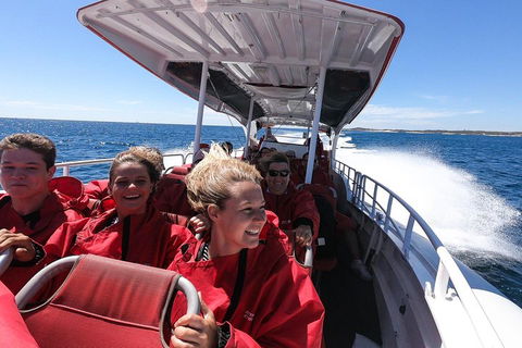 Adventure Rottnest Tour With Ferry & Adventure Cruise From Perth Or Fremantle - Australian Directory 0