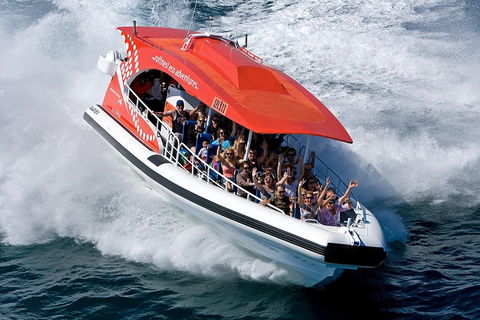 Adventure Rottnest Tour With Ferry & Adventure Cruise From Perth Or Fremantle - Australian Directory 2