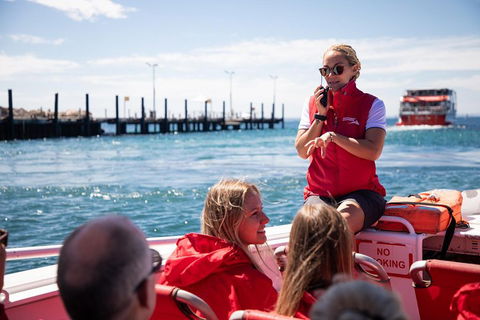 Adventure Rottnest Tour With Ferry & Adventure Cruise From Perth Or Fremantle - Australian Directory 4