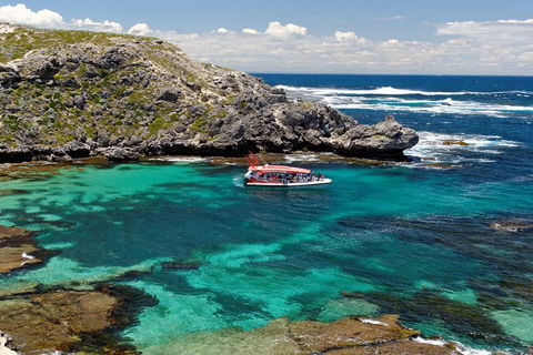 Adventure Rottnest Tour With Ferry & Adventure Cruise From Perth Or Fremantle - Australian Directory 5
