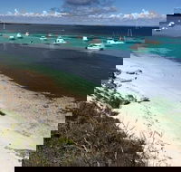 Experience Rottnest with Ferry  Bike Hire from Perth or Fremantle - Australian Directory