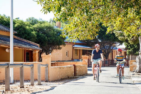 Experience Rottnest With Ferry & Bike Hire From Perth Or Fremantle - Australian Directory 1