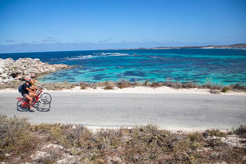Experience Rottnest With Ferry & Bike Hire From Perth Or Fremantle - Australian Directory 2