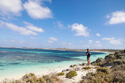 Experience Rottnest With Ferry & Bike Hire From Perth Or Fremantle - Australian Directory 3