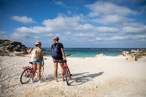 Experience Rottnest With Ferry & Bike Hire From Perth Or Fremantle - Australian Directory 5