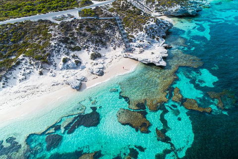Rottnest Island Round-Trip Ferry From Perth Or Fremantle - Australian Directory 0