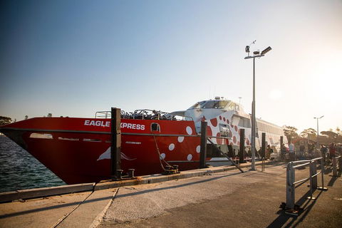 Rottnest Island Round-Trip Ferry From Perth Or Fremantle - Australian Directory 2