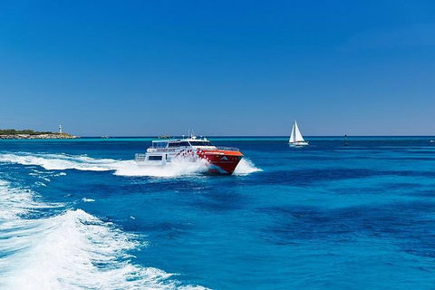 Rottnest Island Round-Trip Ferry From Perth Or Fremantle - Australian Directory 4