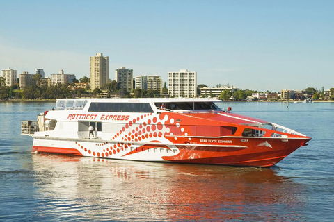 Rottnest Island Round-Trip Ferry From Perth Or Fremantle - Australian Directory 5
