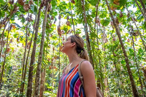 5 Day Australia Retreat: Queensland Daintree - Australian Directory 0