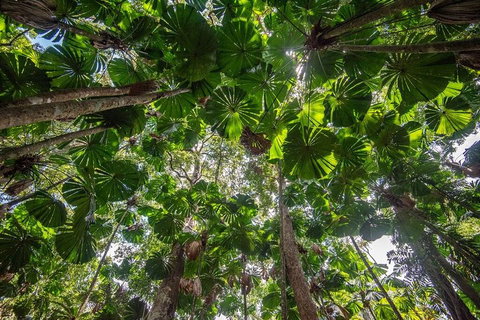 5 Day Australia Retreat: Queensland Daintree - Australian Directory 2