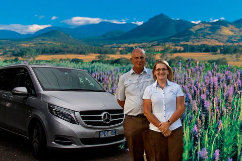Brisbane Day In The Country Full-Day Small-Group Tour With Lunch - Australian Directory 4
