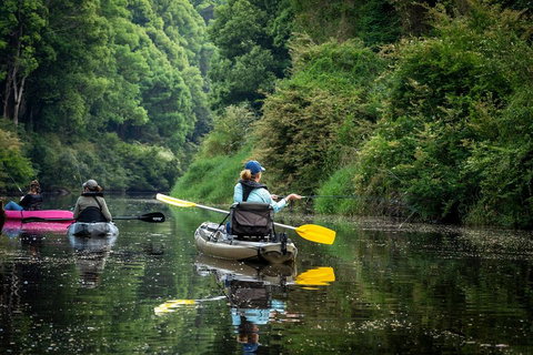 Byron Bay Rainforest Fishing - Australian Directory 0