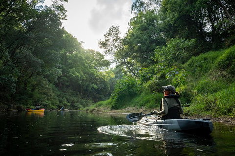 Byron Bay Rainforest Fishing - Australian Directory 1