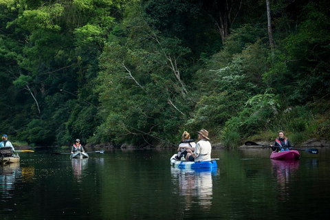 Byron Bay Rainforest Fishing - Australian Directory 2