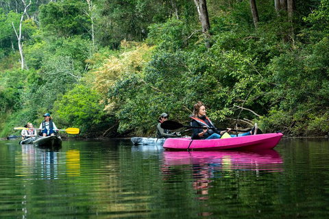 Byron Bay Rainforest Fishing - Australian Directory 4