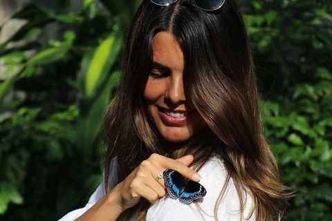 Australian Butterfly Sanctuary - Australian Directory 2