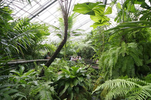 Australian Butterfly Sanctuary - Australian Directory 3