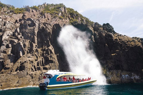 3-Hour Bruny Island Cruise From Adventure Bay, Bruny Island - Australian Directory 5