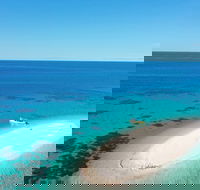 Ocean Safari Great Barrier Reef Experience in Cape Tribulation - Australian Directory