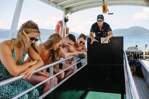 Fitzroy Island Day Trip From Cairns - Australian Directory 4