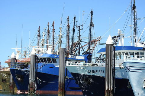 One Day Port Lincoln Tour - Tasting Eyre - Australian Directory 0