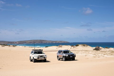 3 Day Port Lincoln And Coffin Bay Private Tour - Australian Directory 0